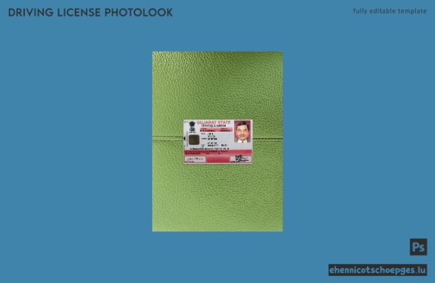 Beispielvorschau für das Foto des Führerscheins aus dem indischen Bundesstaat Gujarat